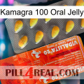 Kamagra 100 Oral Jelly new01